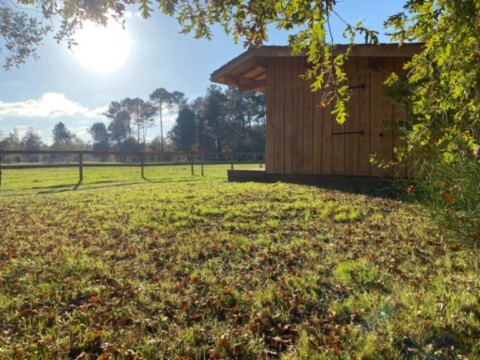Hébergement insolite - Cabane confort